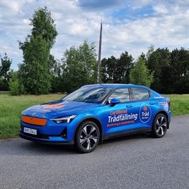 Träd Med Mera, bildekor